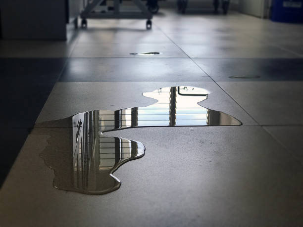 Best Commercial water damage restoration  in Sackets Harbor, NY