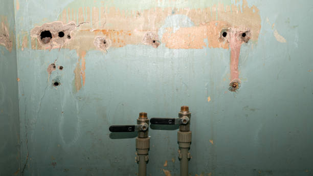Best Sewage cleanup and water damage restoration  in Sackets Harbor, NY
